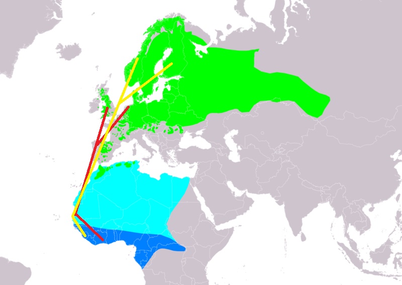 Mapa de la migración del papamoscas cerrojillo entre Europa y África